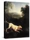 Louis XIV's Dog, Tane-Alexandre-Francois Desportes-Premier Image Canvas