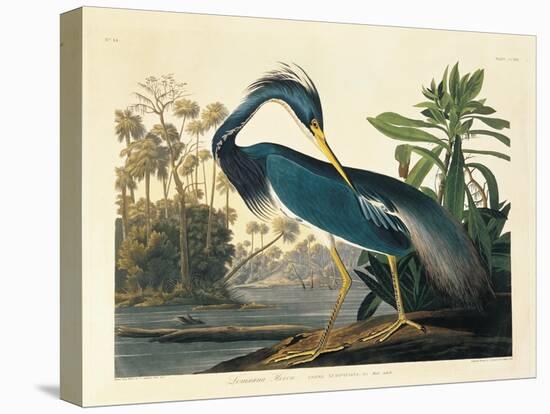 Louisiana Heron Plate 217-Porter Design-Premier Image Canvas