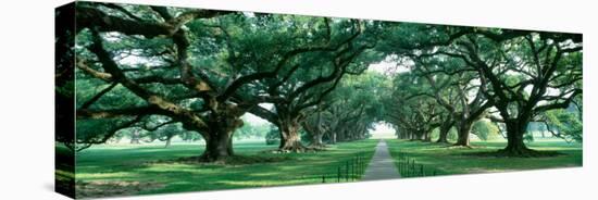 Louisiana, New Orleans, Brick Path Through Alley of Oak Trees-null-Premier Image Canvas