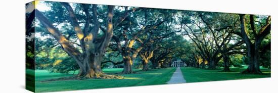 Louisiana, New Orleans, Oak Alley Plantation, Home Through Alley of Oak Trees, Sunset-null-Premier Image Canvas