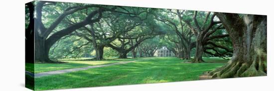 Louisiana, New Orleans, Oak Alley Plantation, Plantation Home Through Alley of Oak Trees-null-Premier Image Canvas