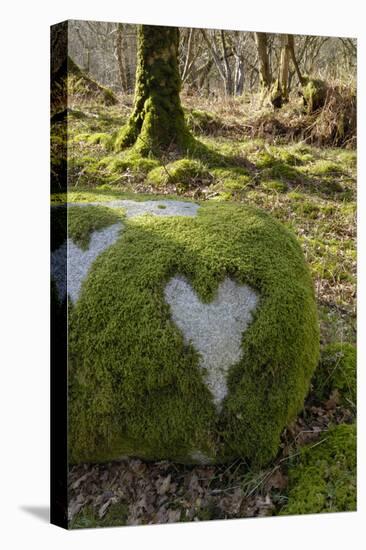 Love Heart Shape in Moss on Granite Bolder, United Kingdom, Europe-Gary Cook-Premier Image Canvas