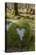 Love Heart Shape in Moss on Granite Bolder, United Kingdom, Europe-Gary Cook-Premier Image Canvas