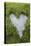 Love Heart Shape in Moss on Granite Bolder-Gary Cook-Premier Image Canvas