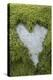 Love Heart Shape in Moss on Granite Bolder-Gary Cook-Premier Image Canvas