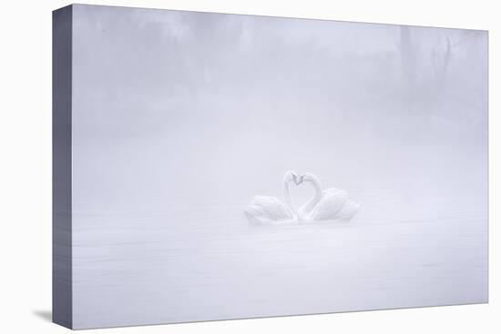 Love in the foggy morning-Joan Zhang-Premier Image Canvas