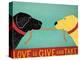 Love Is Black Yellow-Stephen Huneck-Premier Image Canvas