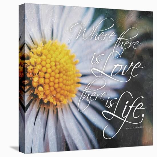 Love Life-Jace Grey-Stretched Canvas