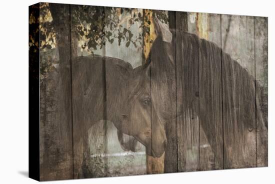 Love On The Ranch-Sheldon Lewis-Stretched Canvas