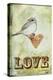 Love-Tammy Kushnir-Premier Image Canvas