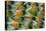 Lovebird tail feather pattern, Bandon, Oregon-Darrell Gulin-Premier Image Canvas