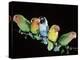 Lovebirds X Five on Branch-null-Premier Image Canvas