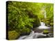 Lovely Elowah Falls on Mccord Creek in the Spring, in the Columbia Gorge, Oregon, USA-Gary Luhm-Premier Image Canvas