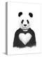 Lovely Panda-Balazs Solti-Stretched Canvas