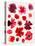 Lovely Poppies Pattern-Cody Alice Moore-Stretched Canvas