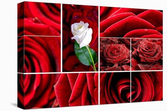 Lovely Roses Mosaic-duallogic-Stretched Canvas