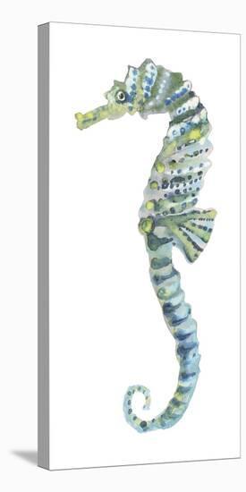 Lovely Seahorse-Sandra Jacobs-Stretched Canvas