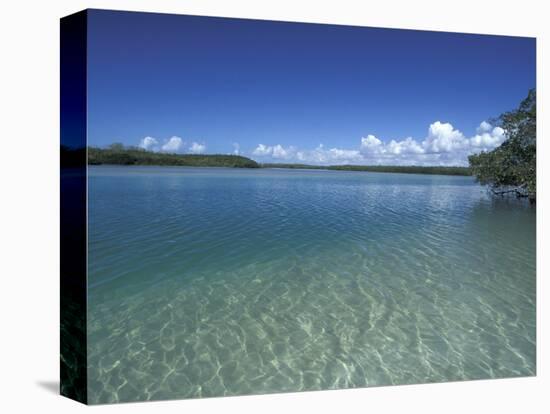 Lovers Key SRA, Ft. Myers Beach, Florida-Maresa Pryor-Premier Image Canvas