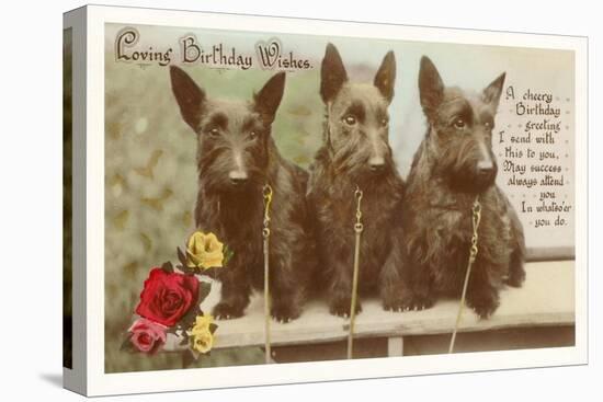 Loving Birthday Wishes, Three Scottie Dogs-null-Stretched Canvas