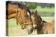 Loving Mare and Foal-null-Stretched Canvas