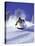 Low Angle View of a Man Skiing-null-Premier Image Canvas