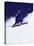 Low Angle View of a Man Skiing-null-Premier Image Canvas