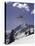 Low Angle View of a Skier in Mid Air-null-Premier Image Canvas