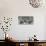 Low angle view of ceiling of Abuhav Synagogue, Safed (Zfat), Galilee, Israel-null-Premier Image Canvas displayed on a wall