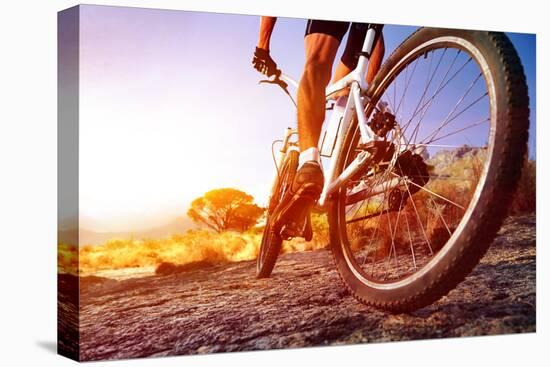 Low Angle View Of Cyclist Riding Mountain Bike On Rocky Trail At Sunrise-warrengoldswain-Premier Image Canvas