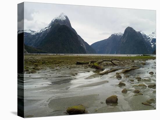 Low-Angle View of Mitre Peak, Stirling Falls, New Zealand-Timothy Mulholland-Premier Image Canvas