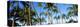 Low Angle View of Palm Trees, Oahu, Hawaii, USA-null-Stretched Canvas