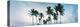 Low Angle View of Palm Trees, Santa Maria Del Mar Beach, Havana, Cuba-null-Premier Image Canvas