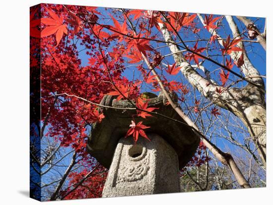 Low Angle View of Stone Lantern and Maple Tree in a Garden at Ritsuin Temple, Satobo, Japan-null-Premier Image Canvas