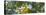 Low angle view of tree branch, Hoyt Arboretum, Washington Park, Portland, Oregon, USA-Panoramic Images-Premier Image Canvas