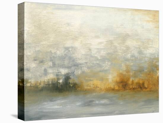 Low Country IV-Sharon Gordon-Stretched Canvas