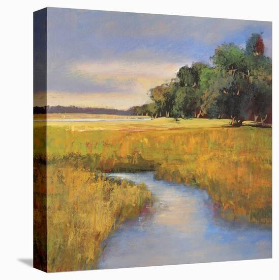 Low Country Landscape II-Adam Rogers-Stretched Canvas