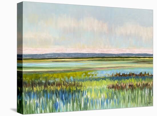 Low Country Revisited-Libby Smart-Stretched Canvas