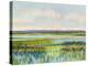 Low Country Revisited-Libby Smart-Stretched Canvas