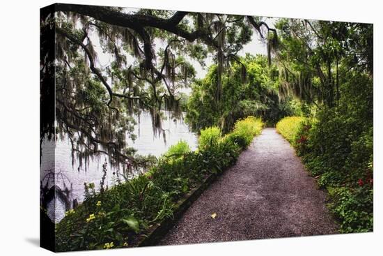 Low Country Walking Path, Charleston,SC-George Oze-Premier Image Canvas