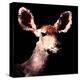 Low Poly Safari Art - Antelope - Black Edition III-Philippe Hugonnard-Stretched Canvas