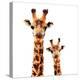 Low Poly Safari Art - Giraffes - White Edition-Philippe Hugonnard-Stretched Canvas