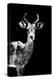 Low Poly Safari Art - Impala Antelope - Black Edition II-Philippe Hugonnard-Stretched Canvas