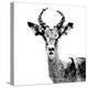 Low Poly Safari Art - The Antelope - White Edition II-Philippe Hugonnard-Stretched Canvas