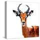 Low Poly Safari Art - The Antelope - White Edition-Philippe Hugonnard-Stretched Canvas