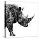 Low Poly Safari Art - The Rhino - White Edition-Philippe Hugonnard-Stretched Canvas