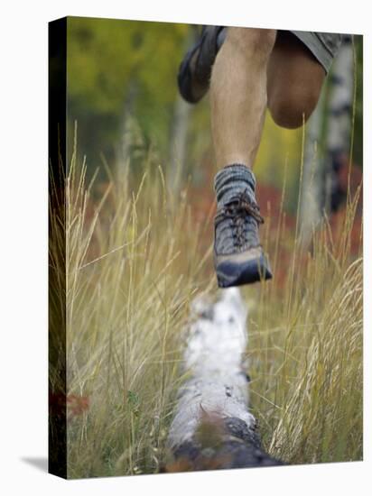 Low Section View of a Person Jumping over a Log of Wood-null-Premier Image Canvas