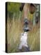 Low Section View of a Person Jumping over a Log of Wood-null-Premier Image Canvas