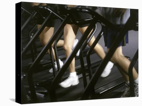 Low Section View of People Running on Treadmills in a Gym-null-Premier Image Canvas