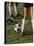 Low Section View of Soccer Players Feet and a Soccer Ball-null-Premier Image Canvas