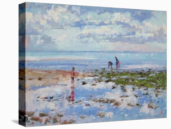 Low Tide Charmouth, 2012-Christopher Glanville-Premier Image Canvas